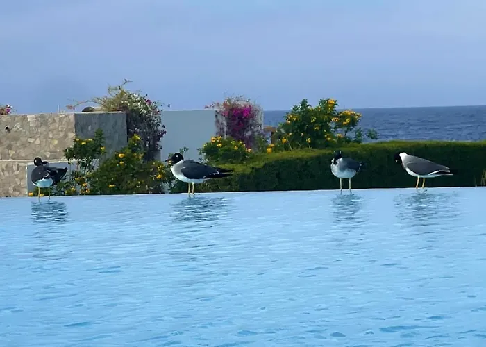 Drift Soma Bay Sea View Retreat Gurdaka