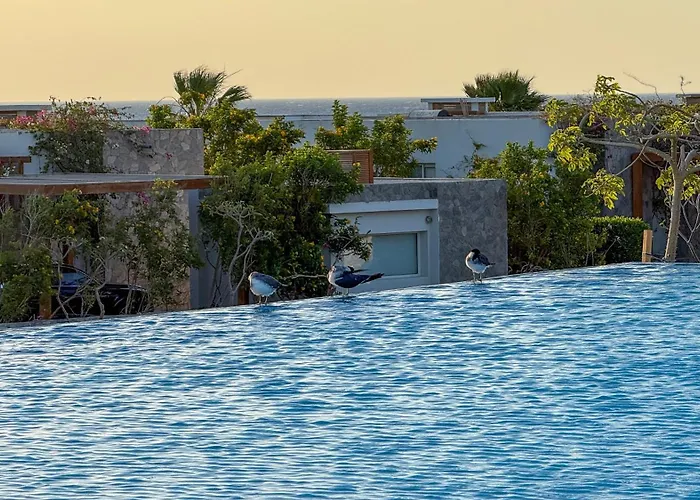 Drift Soma Bay Sea View Retreat * Gurdaka